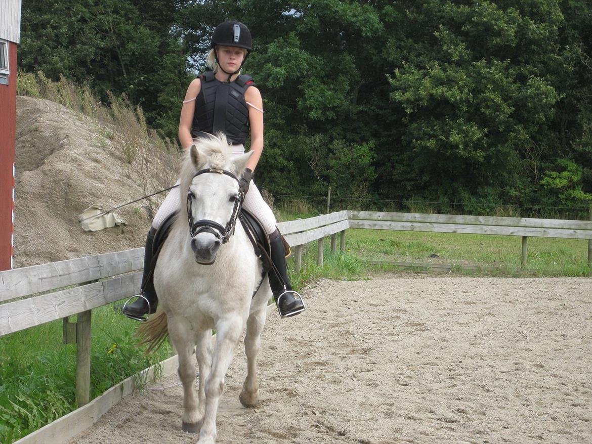 Anden særlig race Sally billede 17