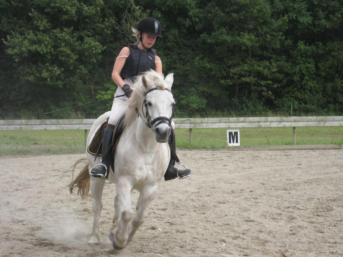 Anden særlig race Sally billede 18