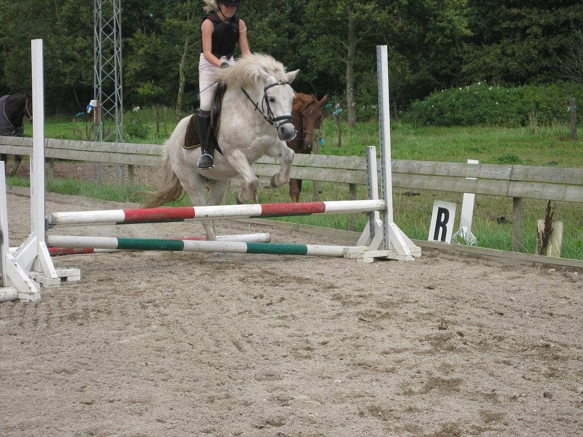 Anden særlig race Sally billede 19