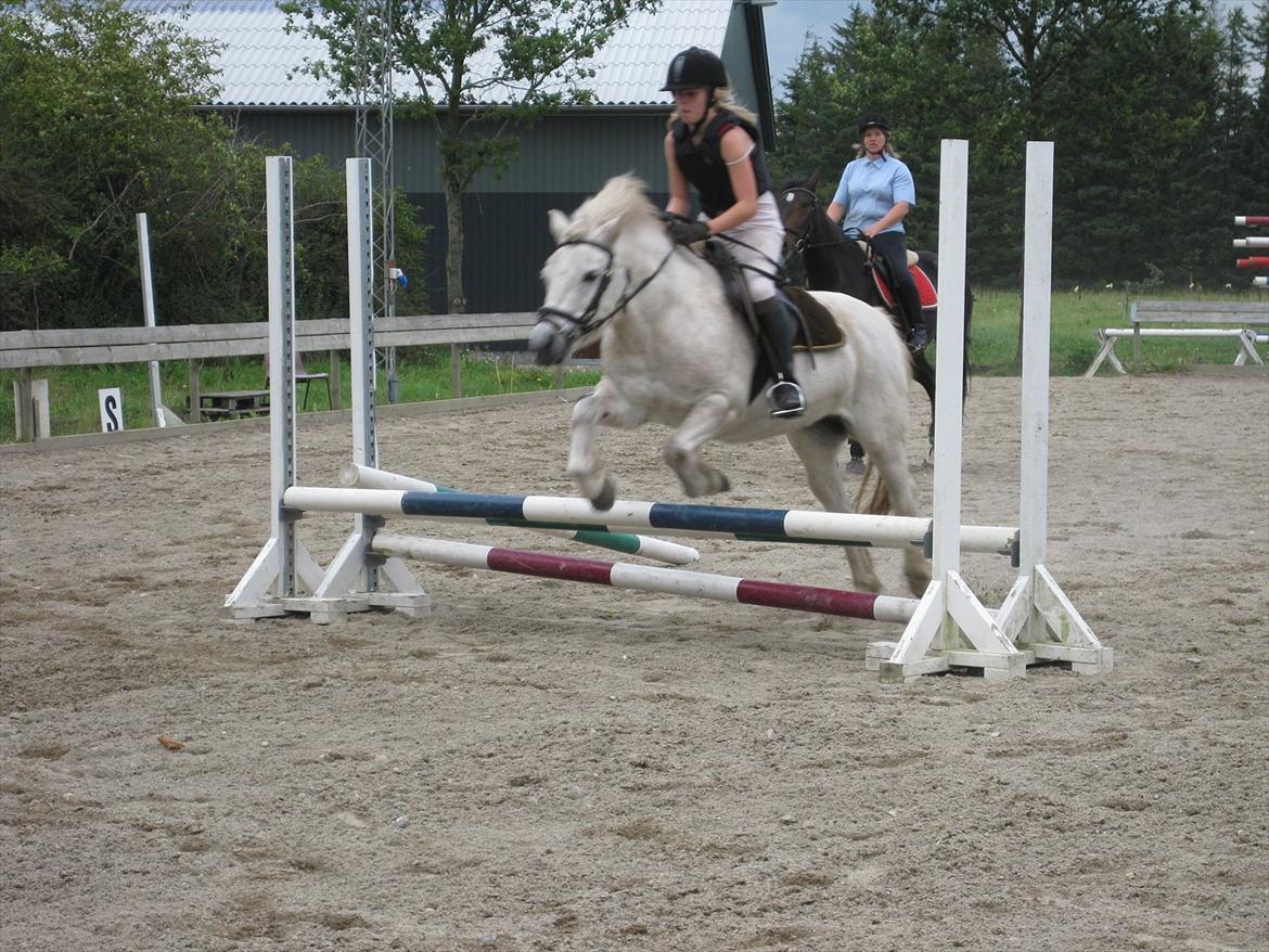Anden særlig race Sally billede 20
