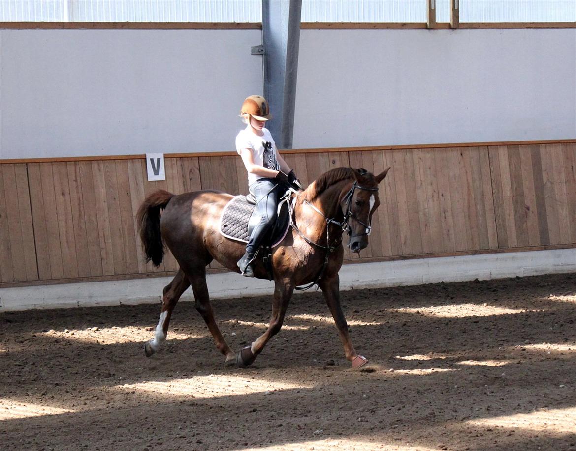 Anden særlig race Sabrina.. PASSER! R.I.P<3 billede 19