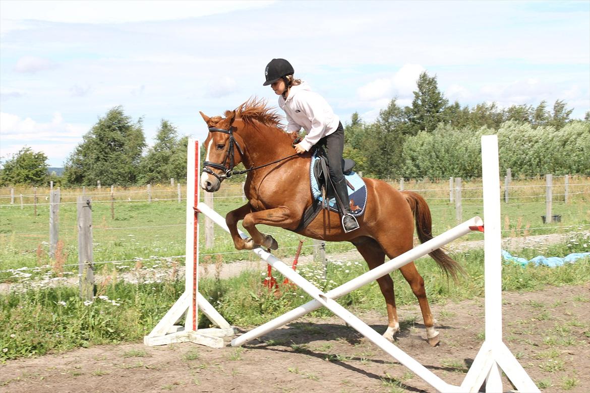 DSP Lejaro Rouge billede 2