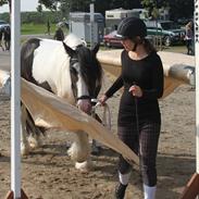 Tinker Cosy Idris Ice