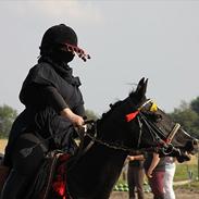 Anden særlig race Bella