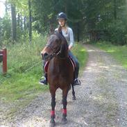 Anden særlig race Sønderskovs Janni