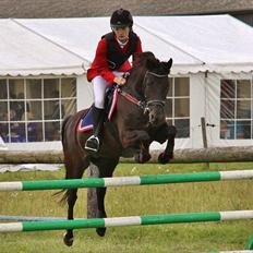 Tysk Sportspony Melody 52