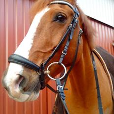 Anden særlig race Power *savnet*