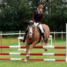 Haflinger Max 