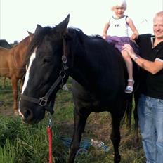 Traver Ikaros Herve - R.I.P