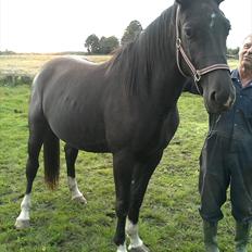 Oldenborg Aimeé