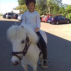 Anden særlig race Lilo