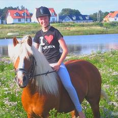 Tyroler Haflinger <3 partner <3  i miss you!!! <3 :´(