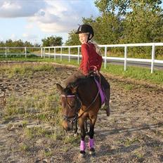 Anden særlig race miss gabby