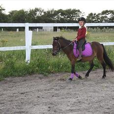 Anden særlig race miss gabby