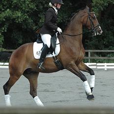 Trakehner High Skye *STJERNE* <3 R.I.P 25/03/2013