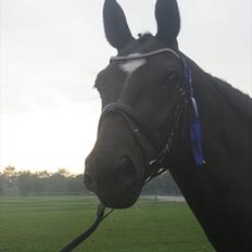 Anden særlig race Kiki Dee