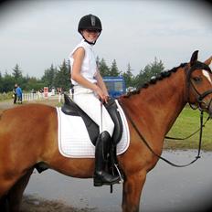 DSP Bæklunds Lombard