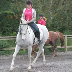 Anden særlig race JUNIQUE