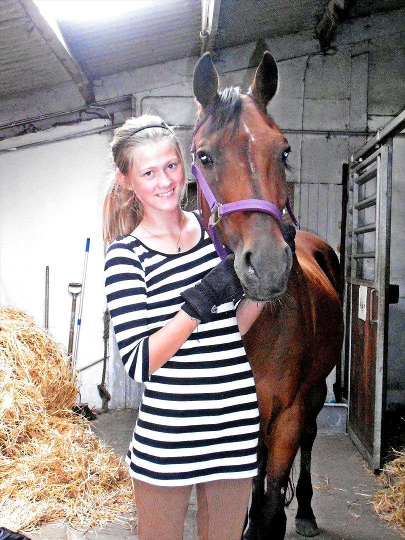 Tysk Sportspony Arking Jump.  - Bullerhesten. - A cirkle is round, and has no end, thats how long I'll be your friend.<3


Foto: Helena Futtrup med mit kamera. billede 7