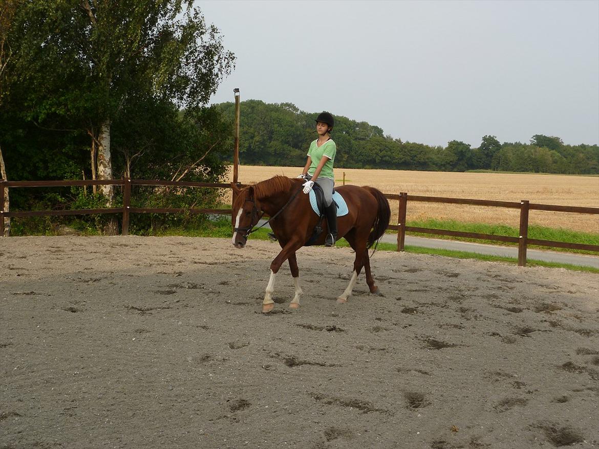 Frederiksborg Zaini Brentedal billede 11