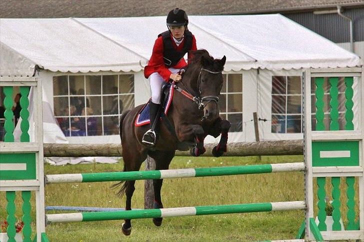 Tysk Sportspony Melody 52 - Okáy stor La, som skulle have været en Lb... i SRR, kvalikafitions-runden til finalen, hvor vi fik en 2. plads!;-)) så det gjorde egentligt ikke så meget at det var en La:-D stjernepony!♥ billede 1