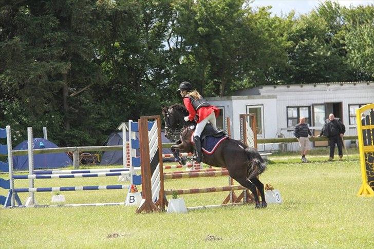Tysk Sportspony Melody 52 - Dig elsker jeg!<3
-Fantastisk 0 runde, med sceneskindebetændelse i min venstre hånd!:) AV for pokker!:-( billede 12