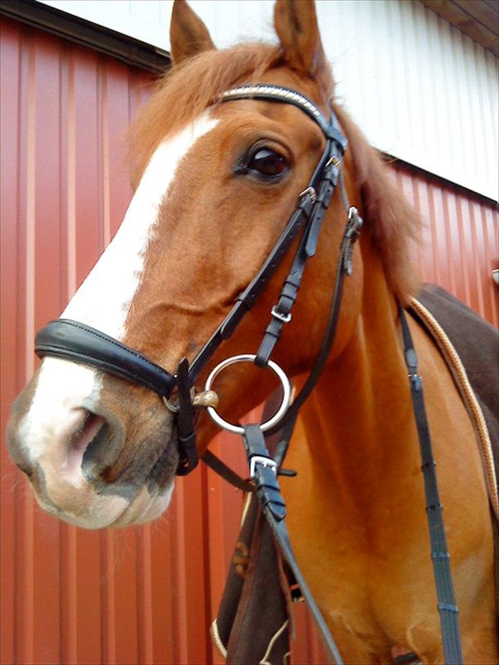 Anden særlig race Power *savnet* -  jeg savner dig himmelhøjt min prins:'S billede 2