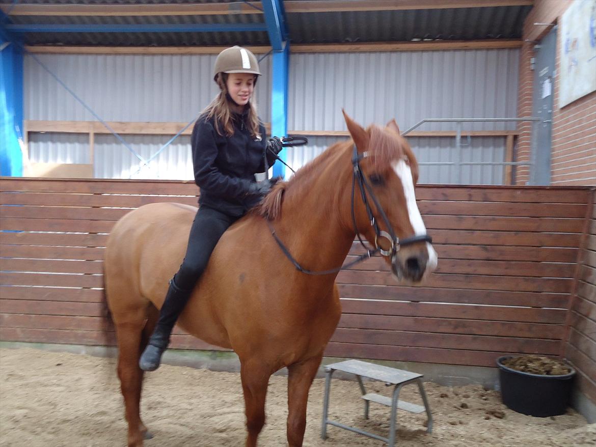 Anden særlig race Power *savnet* - du helt unik, ubeskrivelig, smuk, min bedste ven, speciel... Power jeg savner dig!:) billede 8