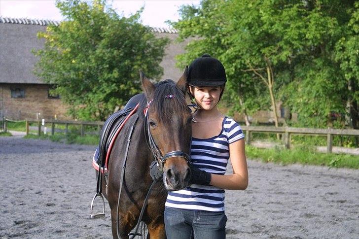 Anden særlig race Chago junior billede 14