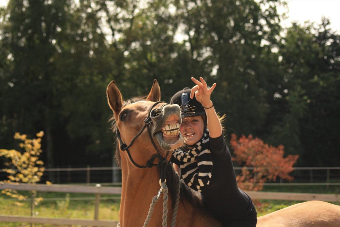 Anden særlig race | Luna   [Min bedsteven] - © Smil til verden, og den smiler til dig :-).
Fotograf - MLS / Sommer 2011.  billede 7