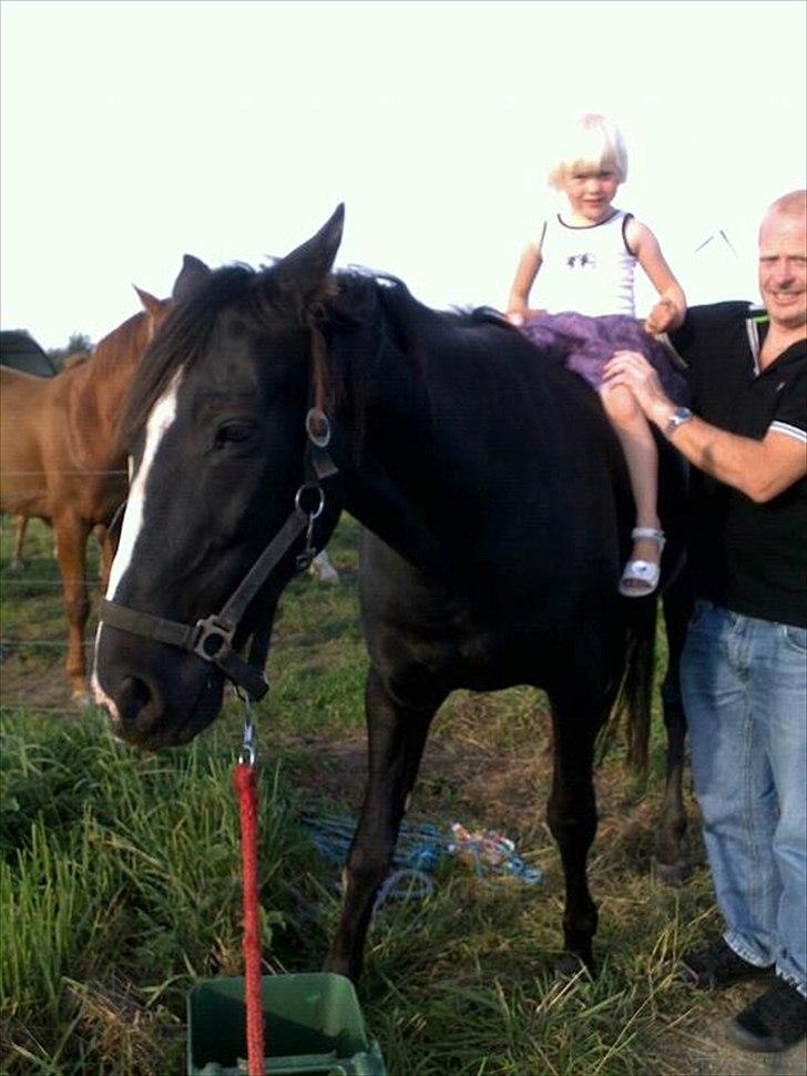 Traver Ikaros Herve - R.I.P - Min lille kusine oppe på Ikaros :D billede 2