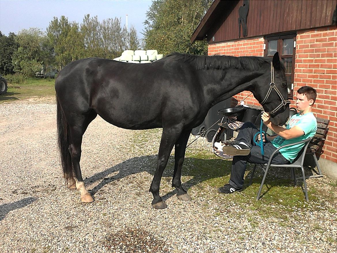 Traver Nina Corleone(Solgt) billede 3