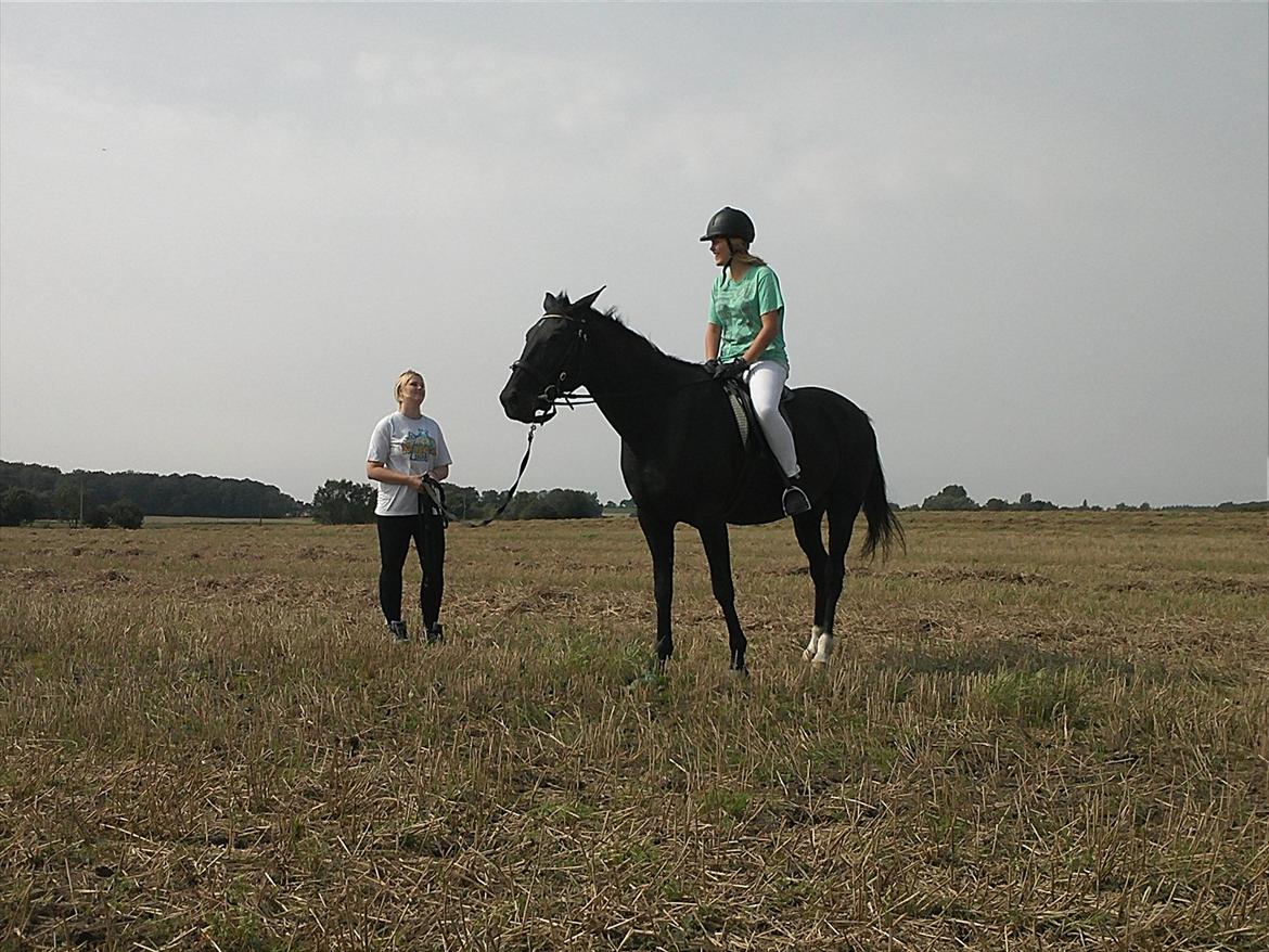 Traver Nina Corleone(Solgt) billede 5