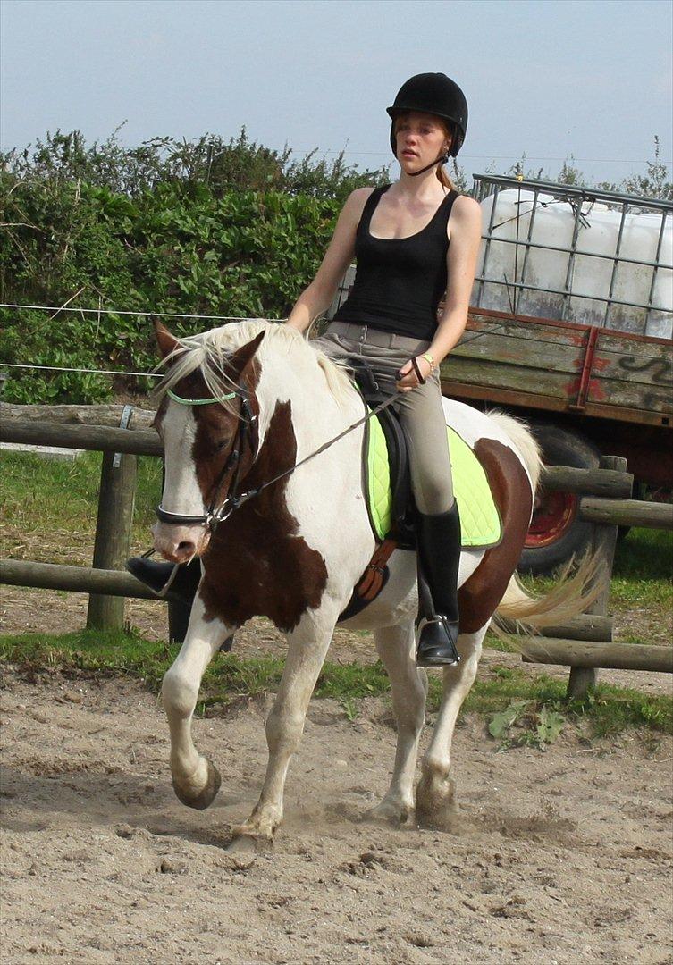 Pinto Blanding Gismoe - #2 Gismoe og jeg der øver dressur i vores nye grønne sæt :D foto:Vickey (med mit kamera) billede 2