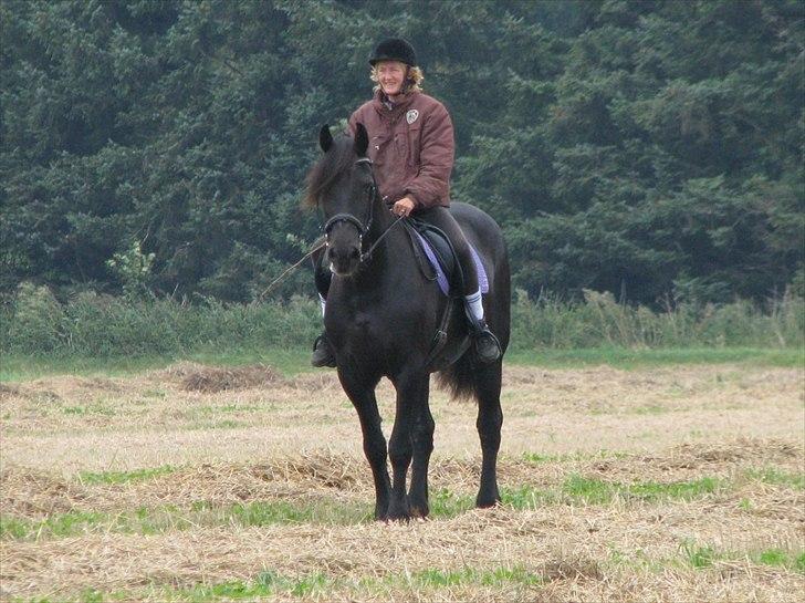 Frieser Oukje (Nellie) - Smuk på en stubmark:) billede 19