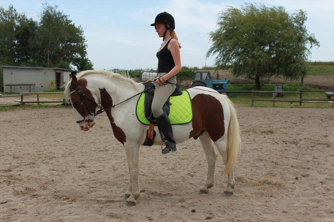 Pinto Blanding Gismoe - #9 Gismoe og jeg et yndigt opstillingsbillede i det nye grønne sæt :D foto:Line Holst Petersen (med mit kamera)  billede 9