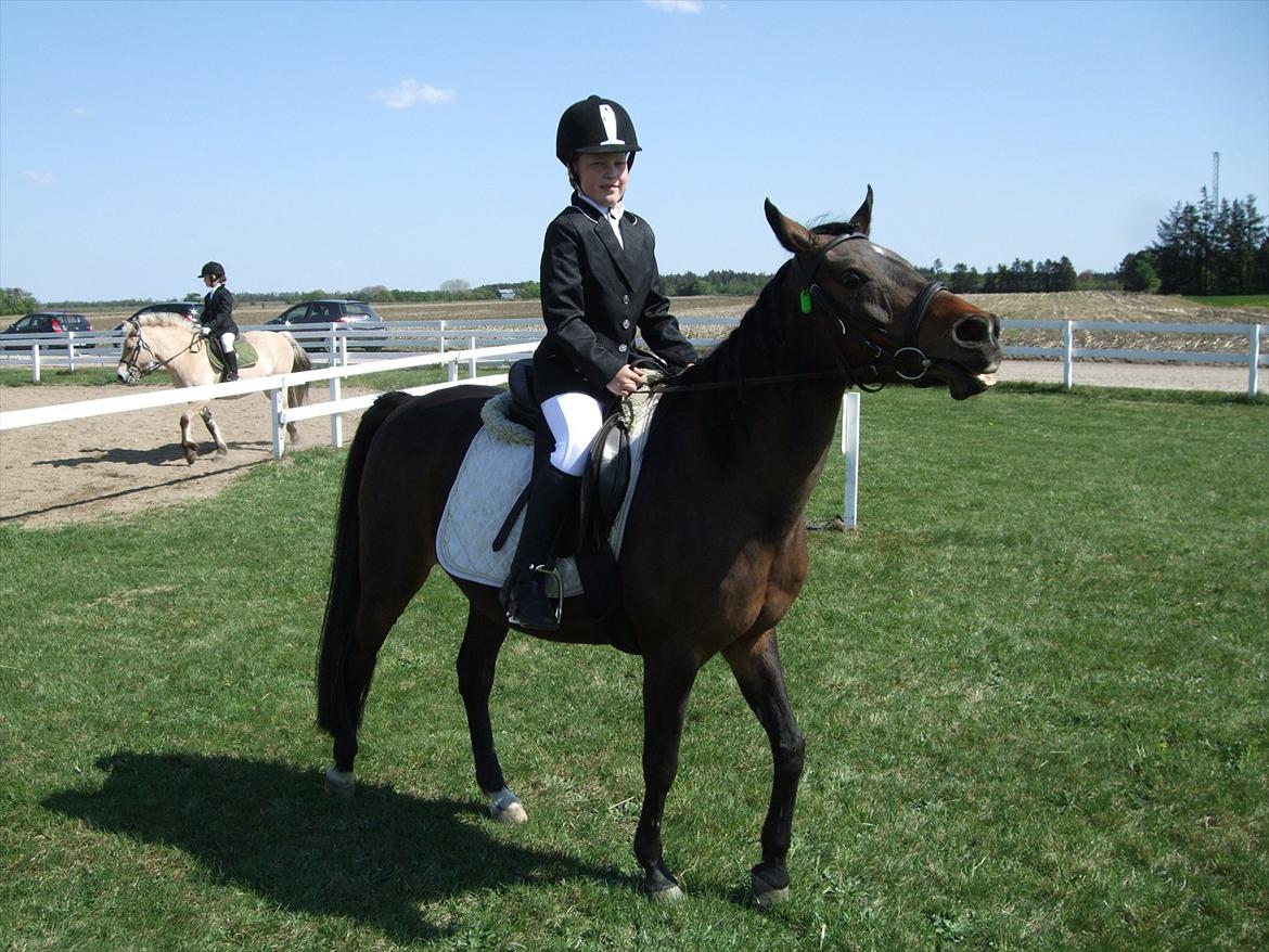 Anden særlig race Dixie My Soulmate <3 - hun prustede og jeg var ikke forberedt:-)
 billede 6