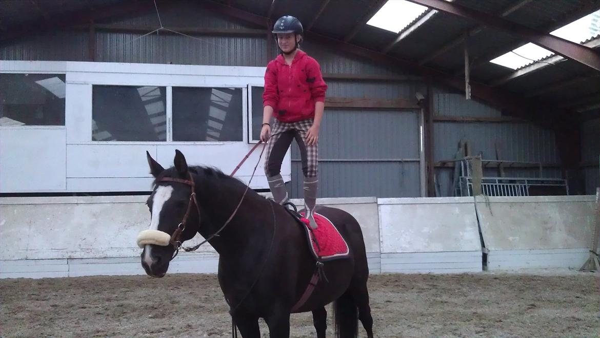 Dansk Varmblod Grace - Velkommen til Grace's profil
Mig der står op på Grace billede 1