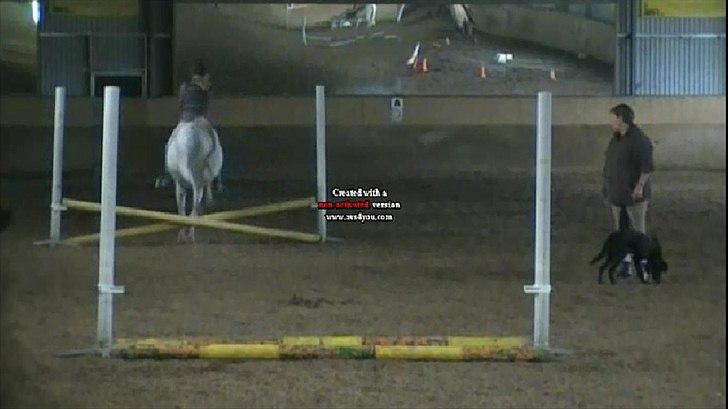 Anden særlig race Ullive / gl. part - [18] Første gang jeg springer :) foto: taget fra video af mor billede 18
