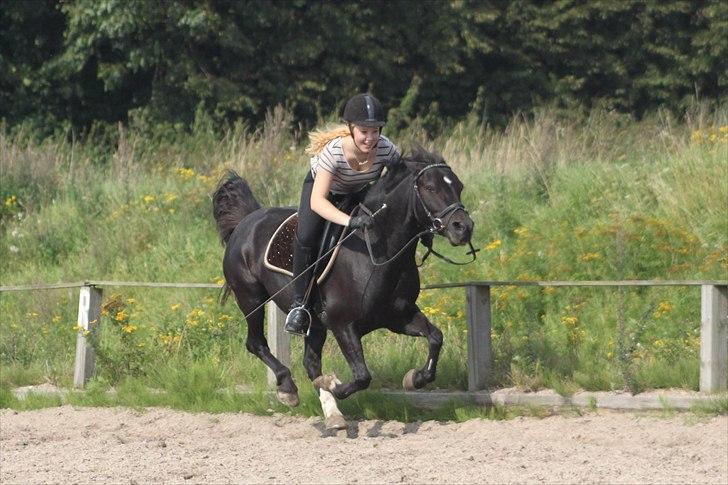 Anden særlig race Emil *SØSTERS* - Fuld galop. 2011 billede 18