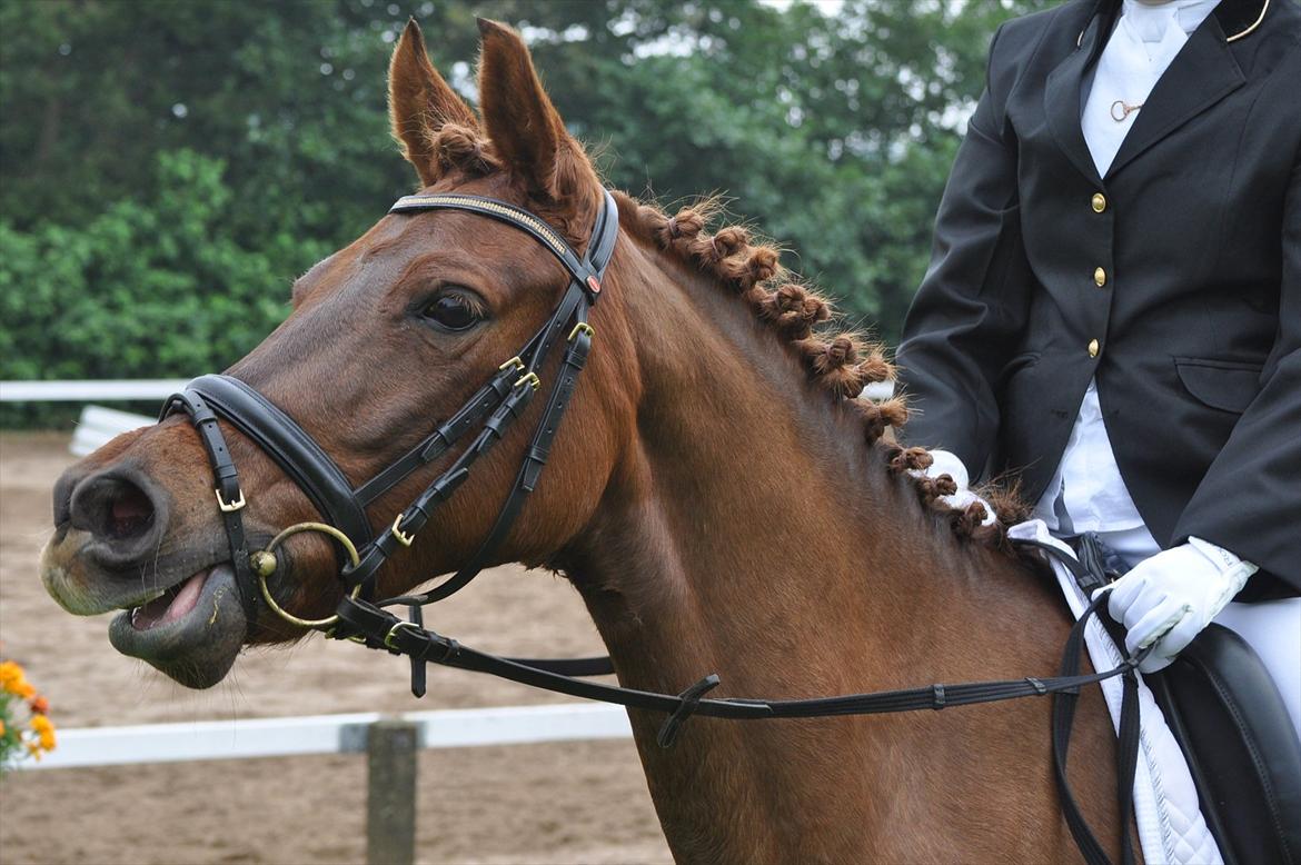 DSP Chanell billede 6