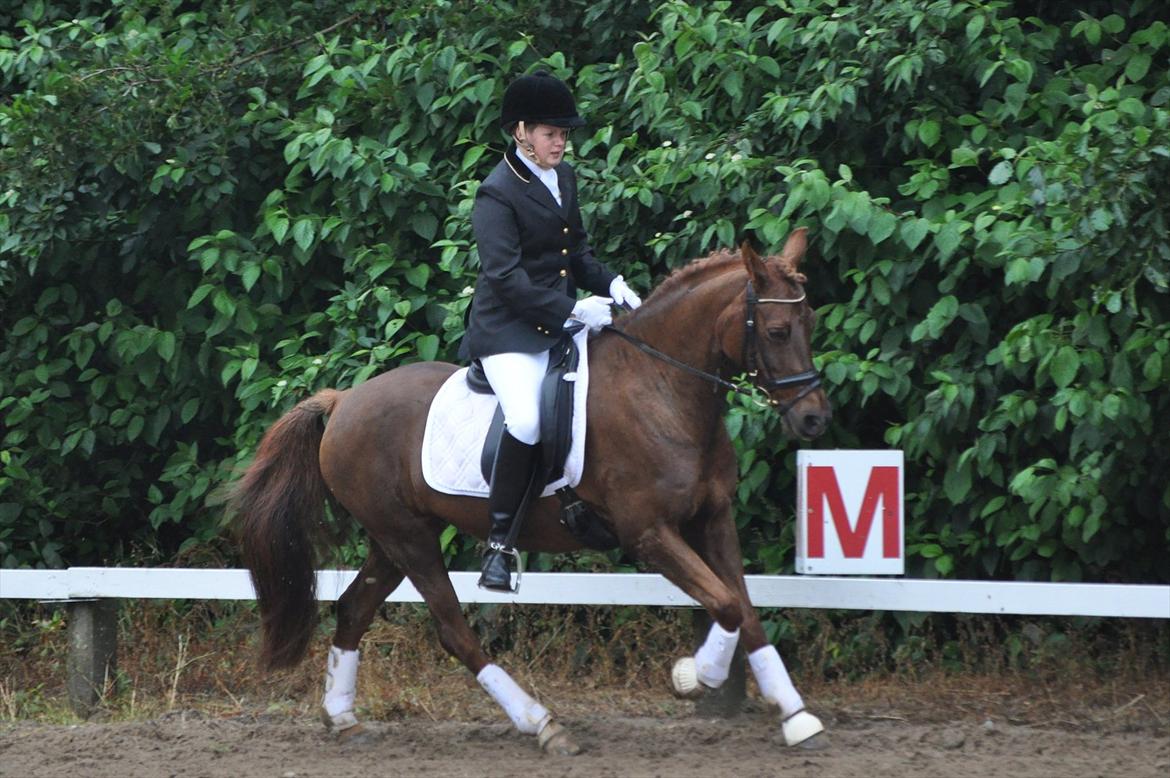 DSP Chanell billede 7