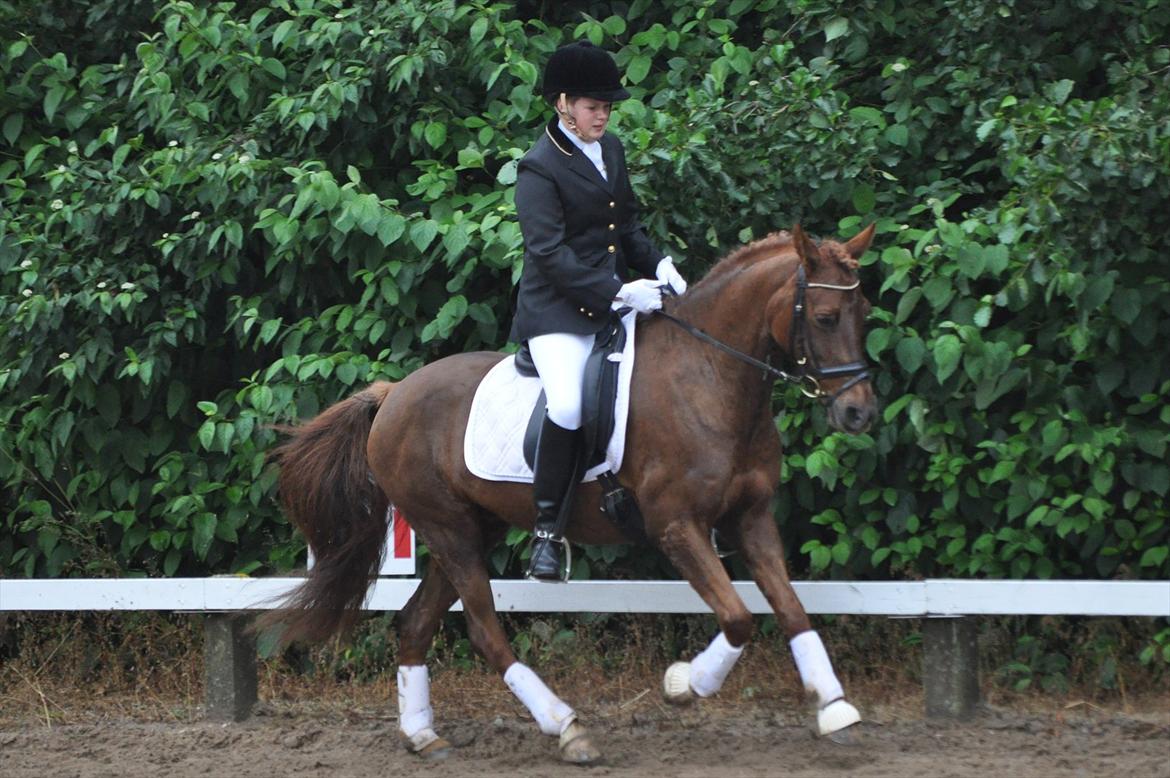 DSP Chanell billede 8