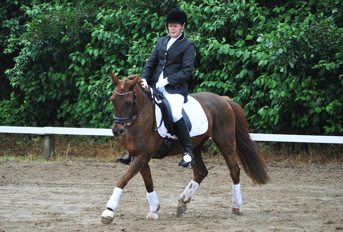 DSP Chanell billede 9