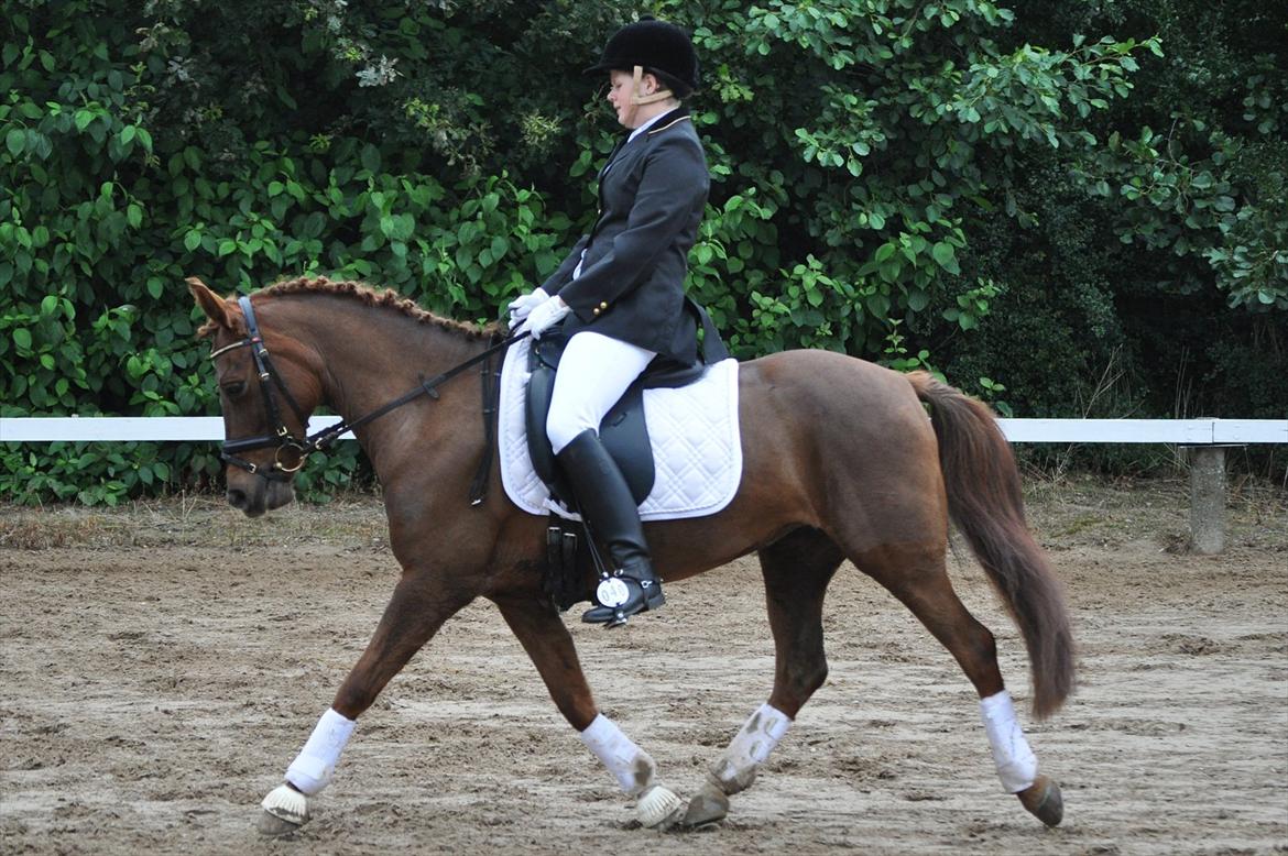 DSP Chanell billede 10