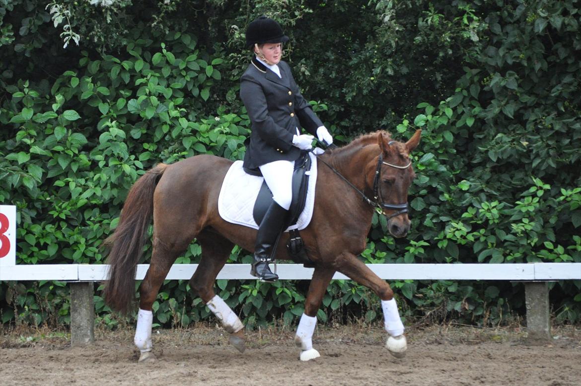 DSP Chanell billede 11