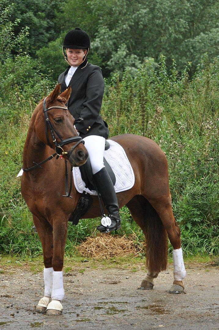 DSP Chanell billede 12