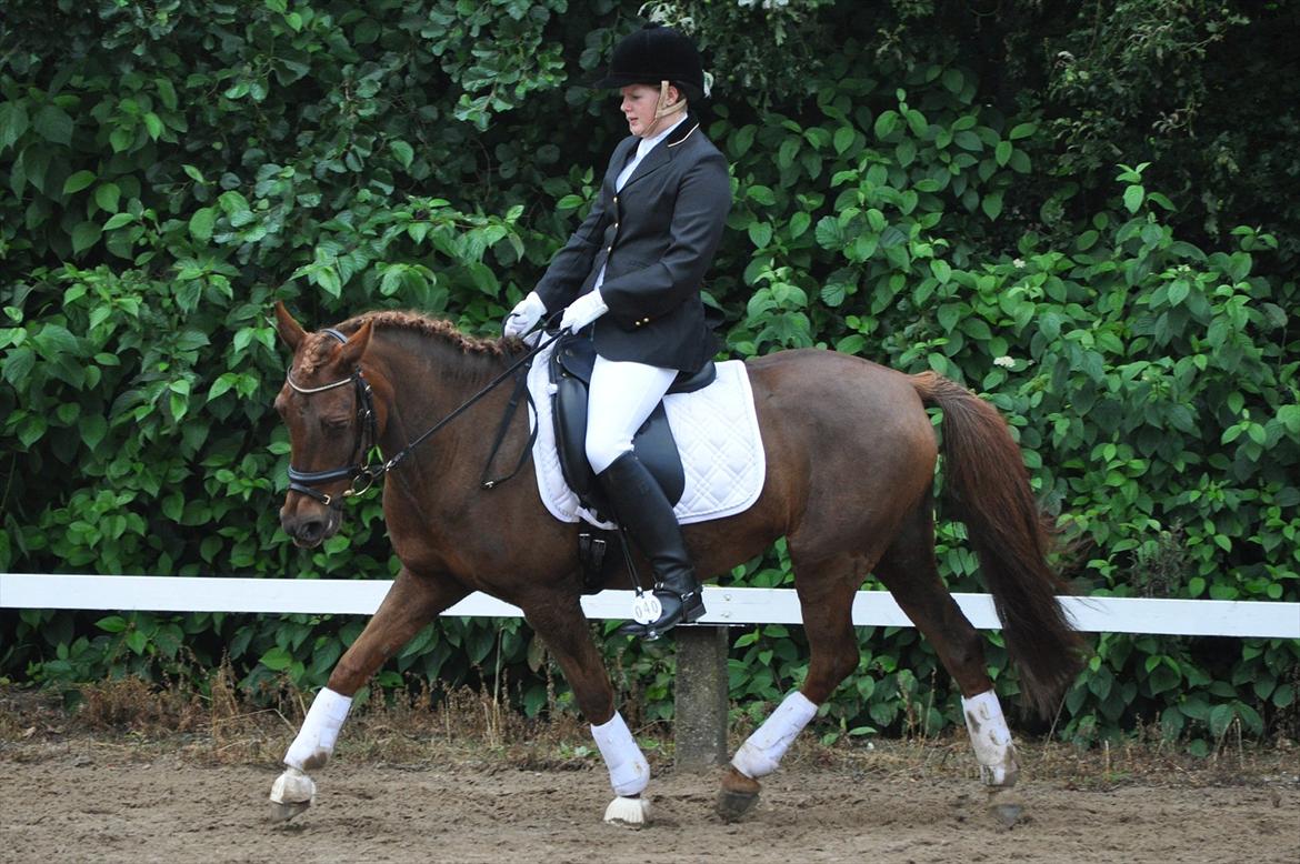 DSP Chanell billede 14