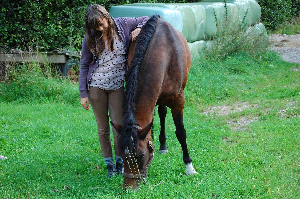 New Forest Moonlight    (rider) - <3 dig billede 12