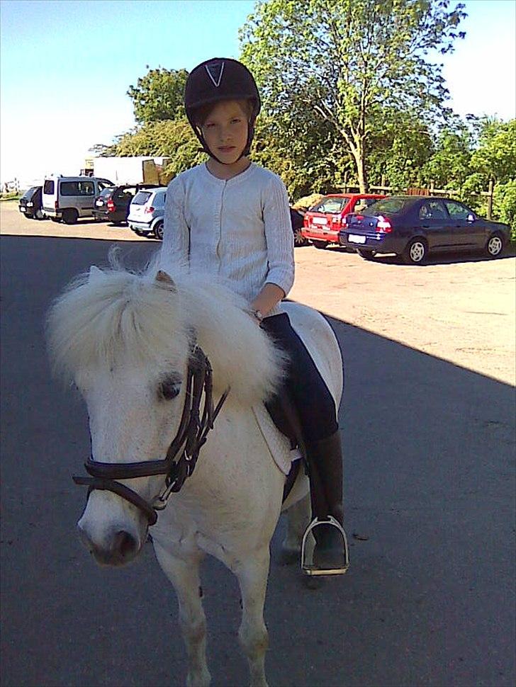 Anden særlig race Lilo - lige før stævne på rideskolen:D blev en 5.plads billede 2